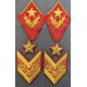 МАРШАЛ СОВЕТСКОГО СОЮЗА, петлицы и нарукавные знаки обр. 1940 г.